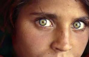 Sharbat_Gula12