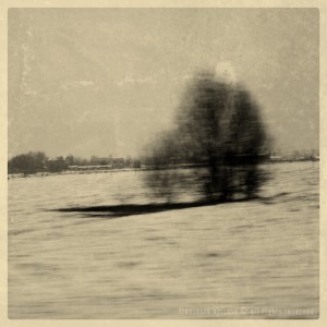 francesco viscuso ©