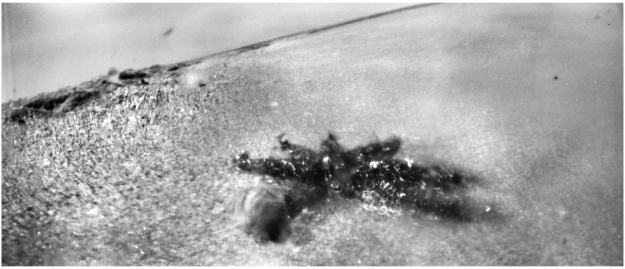 © Stefano Parrini © Stefano Parrini