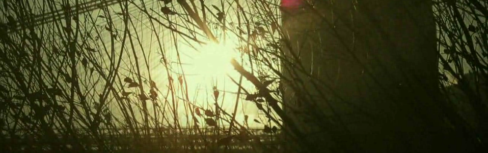 Immagine 6