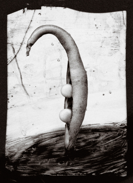 © Margherita Cesaretti