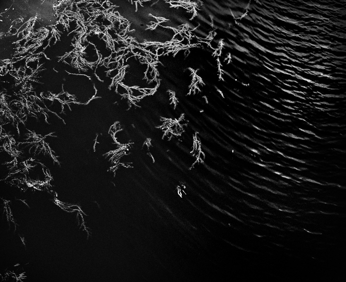 © Margherita Cesaretti